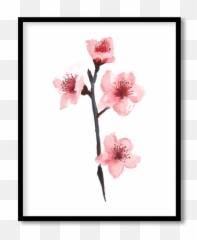 Cherry Blossoms Posters Paintings Framed Wall Art - Twig Png,Cherry Blossom Flower Png
