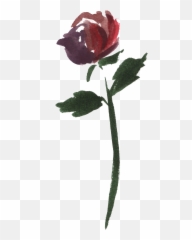 Watercolor Rose Vector - Painting Full Size PNG Ground