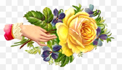 Crackerjack Png Flower Graphic