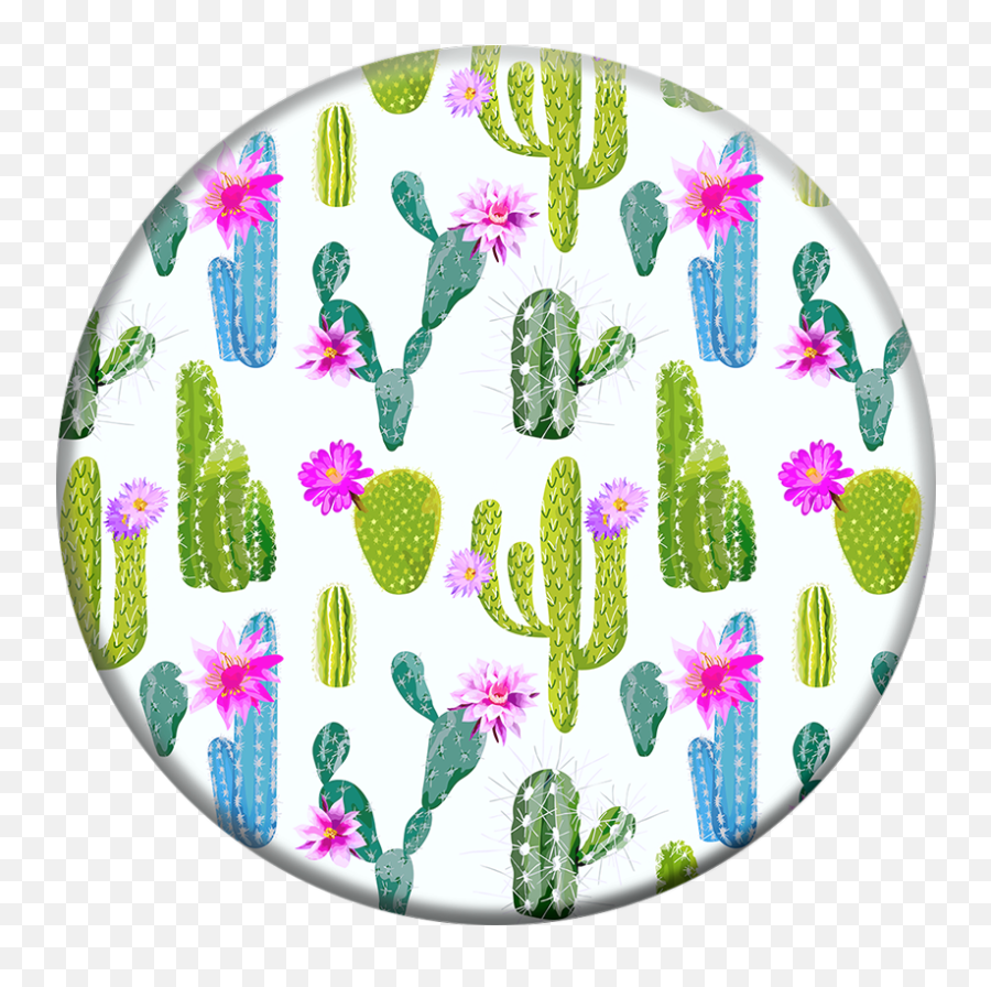 Cactus Popsocket Png Image With No - Popsocket,Cacti Png