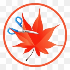 Easy Cut Studio Vinyl Cutting Software For Plotter - png