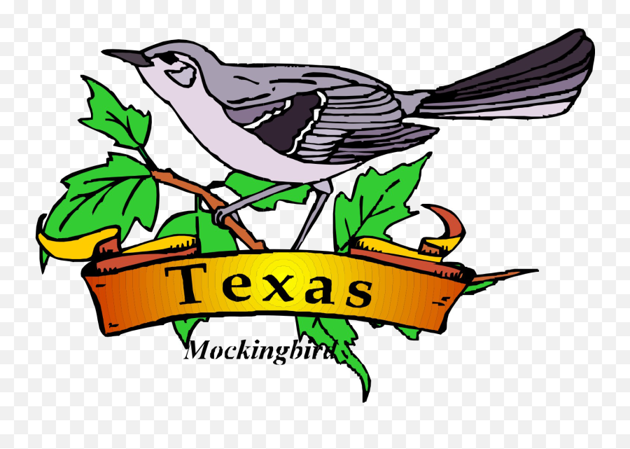 Texas State Bird Clipart - State Symbol Of Texas Png,Texas State Png