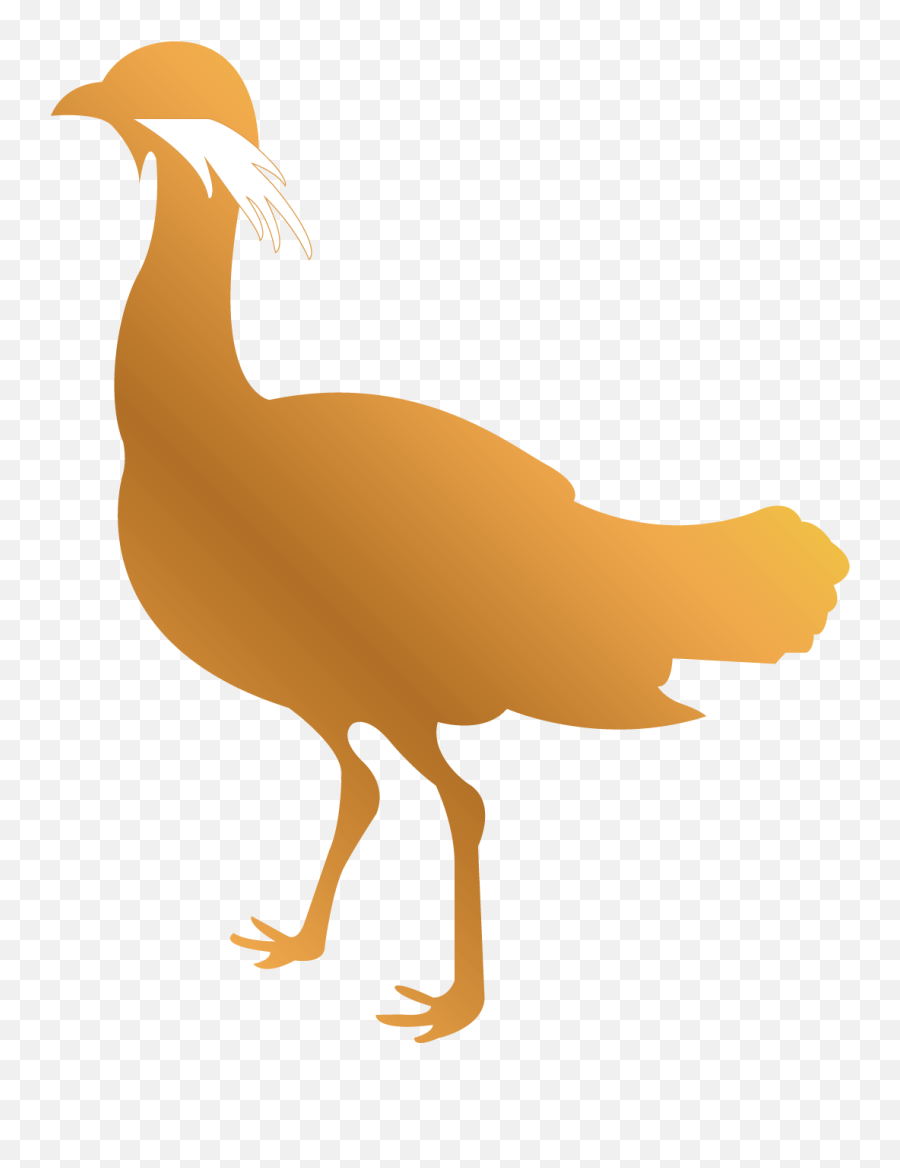 The Wiltshire Whisky Distillery Co - Great Indian Bustard Silhoutte Png,Final Fantasy Xv Icon