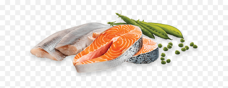 Crave With Protein From Salmon U0026 Ocean Fish - Fish Slice Png,Ocean Fish Png