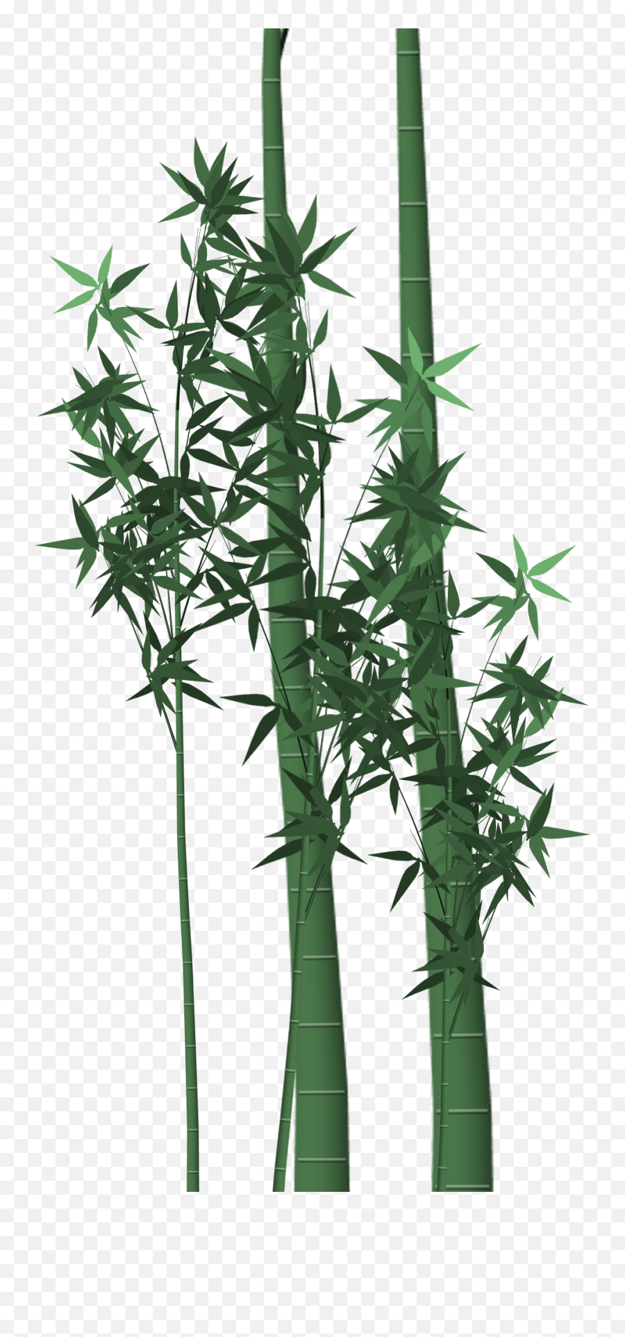 Bamboo With Leaves In A Graphic Representation Free Image - Png,Bamboo Leaves Png