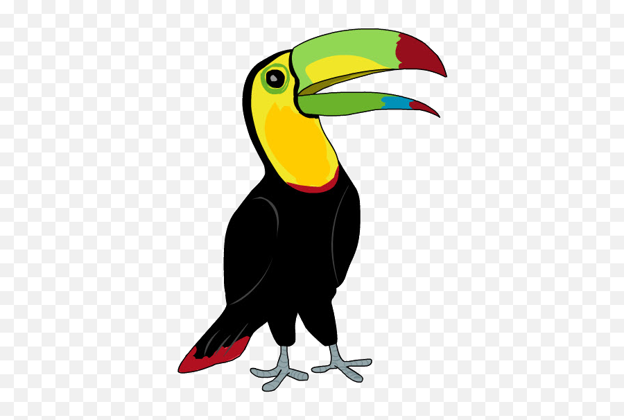 Tucan - Tucan Png,Tucan Png