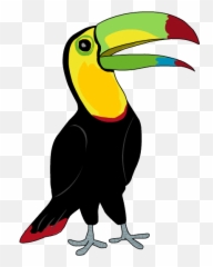 Tucan - Tucan Png,Tucan Png