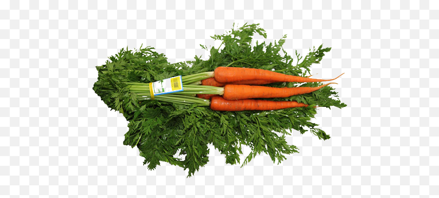 Carrots - Vegetables Top View Png Full Size Png Download Vegetables Png Top View,Carrots Png