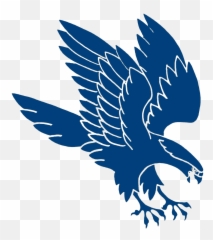 Download - Falcon Clip Art Png,Falcons Logo Png