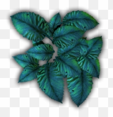 Index Of Mappingterrainplantstropicalblue - Jungle Dundjinni png