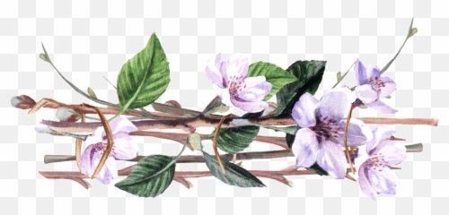 Purple Vine Man Flower Cartoon Transparent This Backgrounds - Vines Png