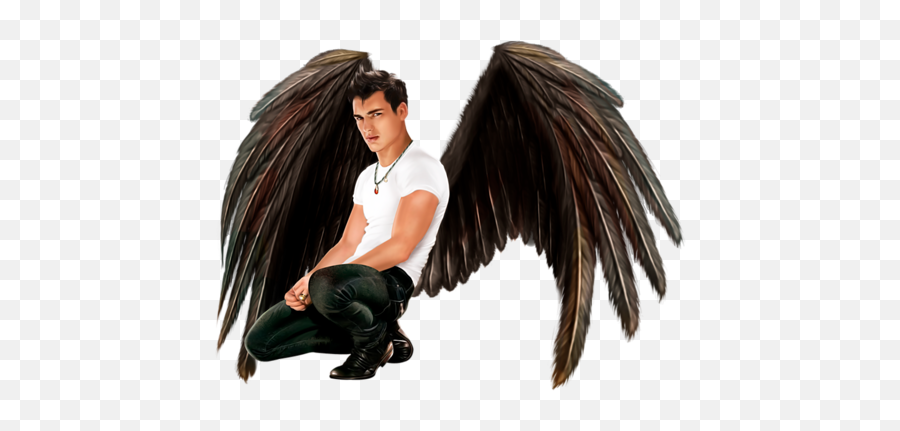 Guy With Wings Png Official Psds - Figurine,Black Wing Png