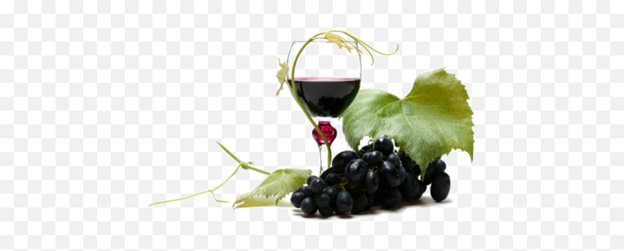 Download Wine Png Clipart - Wine Png,Wine Png