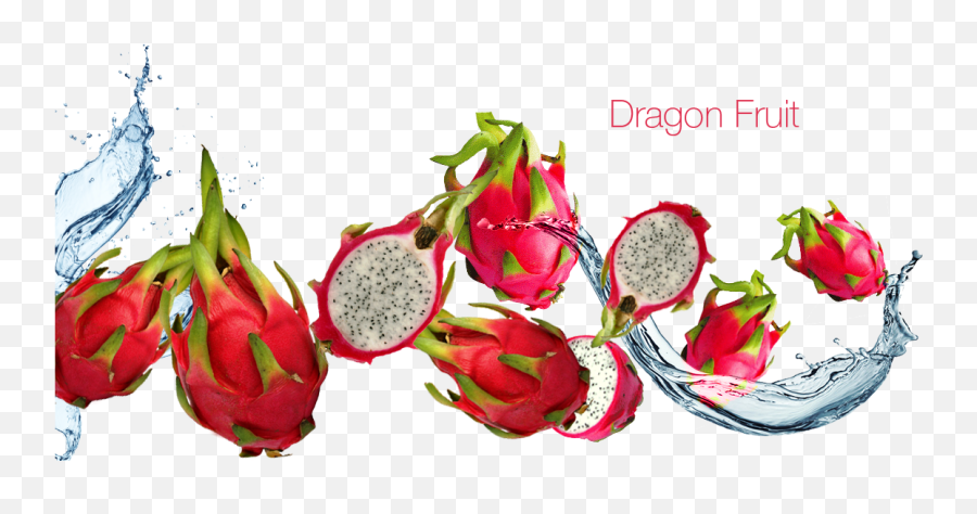 Dragon Fruit Images Png Dragonfruit
