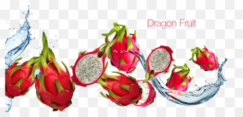 Dragon Fruit Images Png Dragonfruit