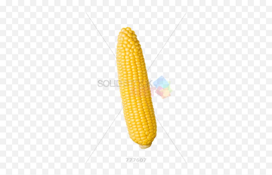 Stock Photo Of Peeled Yellow Corn Cob - Corn On The Cob Gun Png,Corn Cob Png