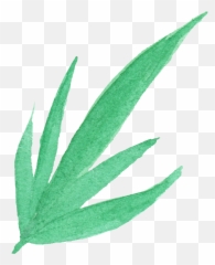 25 Watercolor Leaf Png Transparent Vol 3 Onlygfxcom - Agave,Aloe Png