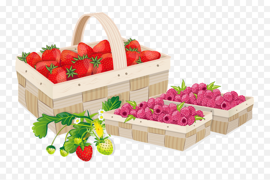 Fruit Strawberry Strawberries - Strawberry Png,Strawberries Png