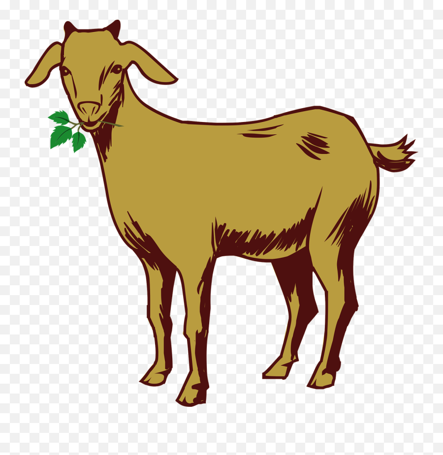 Goats Head Clipart Binatang - Clipart Goat Png,Goat Head Png