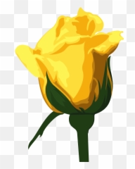 Yellow - Yellow Rose Png,Yellow Rose Png