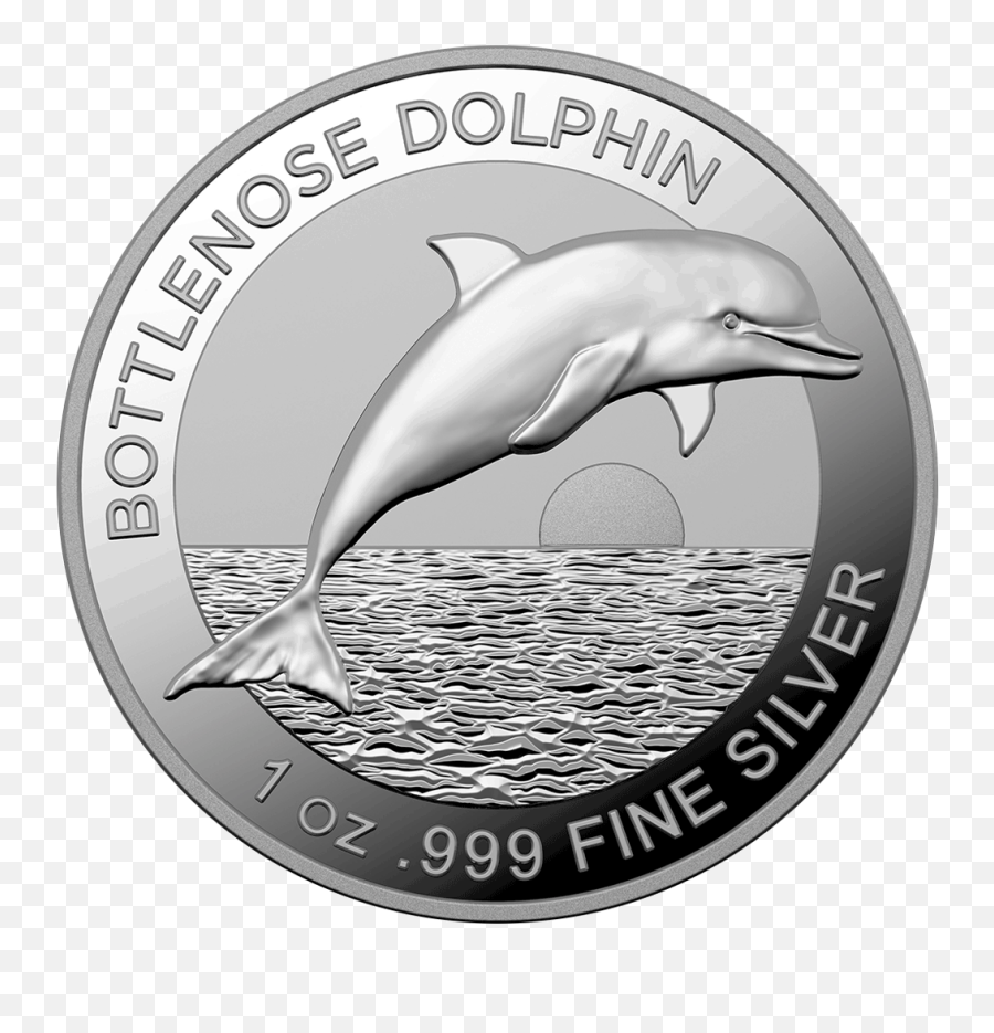 Bottlenose Dolphin - 1 Oz Emkcom Bottlenose Dolphin Png,Dolphins Png