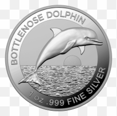 Bottlenose Dolphin - 1 Oz Emkcom Bottlenose Dolphin Png,Dolphins Png