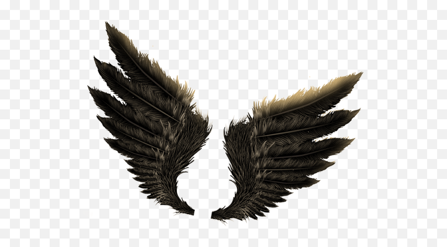 Fire One Side Wings Png Download - Evil Wings Png,Fire Wings Png