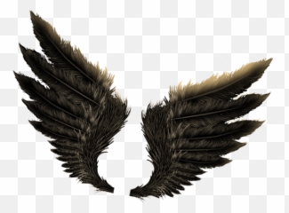 Fire One Side Wings Png Download - Evil Wings Png,Fire Wings Png