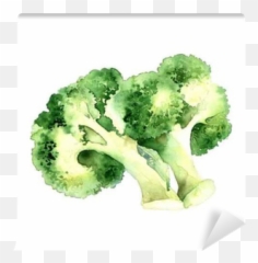 White Background Wall Mural Pixers - Brocoli Acuarela png