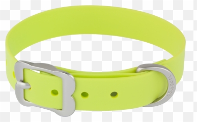 Belt Clipart Dog Collar Png