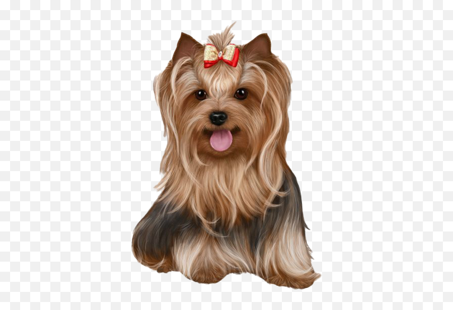 Yorkshire Terrier Png Transparent Images All - Yorkshire Terrier Png,Yorkie Png