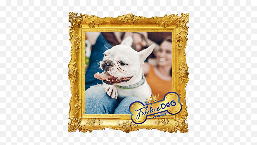 What To Do When Your Friends Arenu0027t Dog People U2013 Fabbie - Dog Png,Friends Frame Png