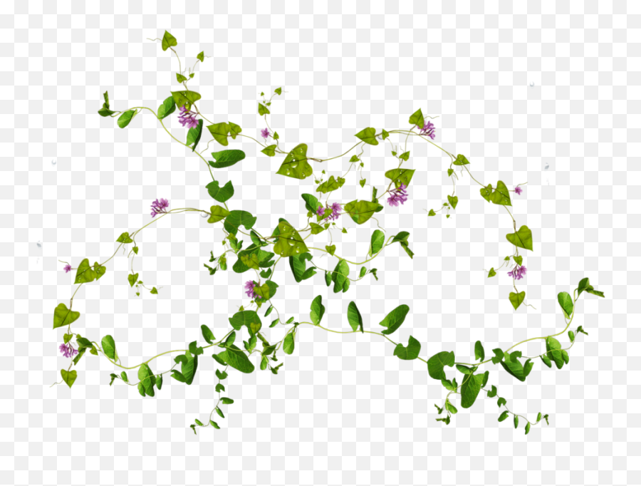 Leaf Png Leaves Images Download Free - Flowers And Leaves Png,Hanging Vines Png