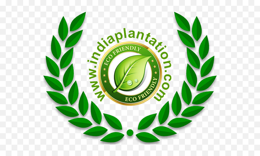 Logo - Laurel Wreath Png,Olive Branch Logo