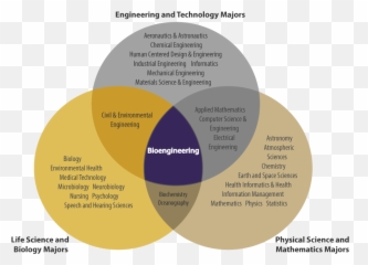 Engineering - Biology In Mechanical png