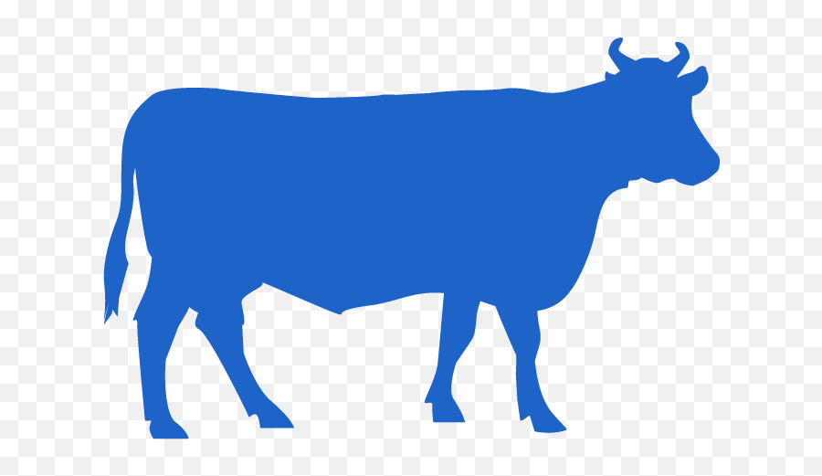 Education U2014 Department Of Reproduction Obstetrics And Herd - Blue Icons Animal Health Png,Cattle Icon