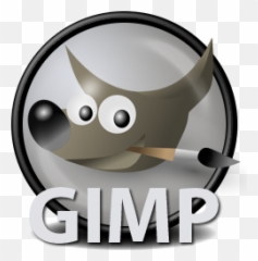 Ryan Dillinger - Software Engineer Gimp Png,Gimp Icon Png