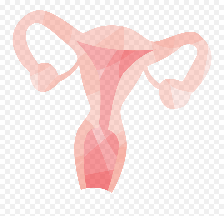 We Tried It Whatu0027s Like To Use Sustain Period Panties - Drawing Png,Thinx Icon