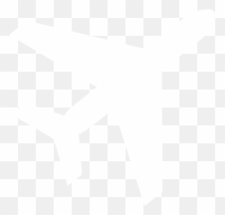 Hangar Information - Language png