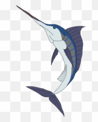 Drawing Blue Marlin - Swordfish Drawing Png,Marlin Png