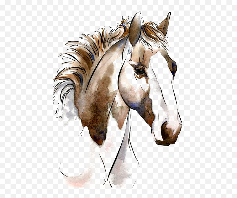 Horse Artwork Watercolor - Horse Art Png,Art Png