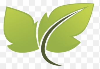 Green Leaf - Download Free Fresh Png,Green Leaf Icon Png