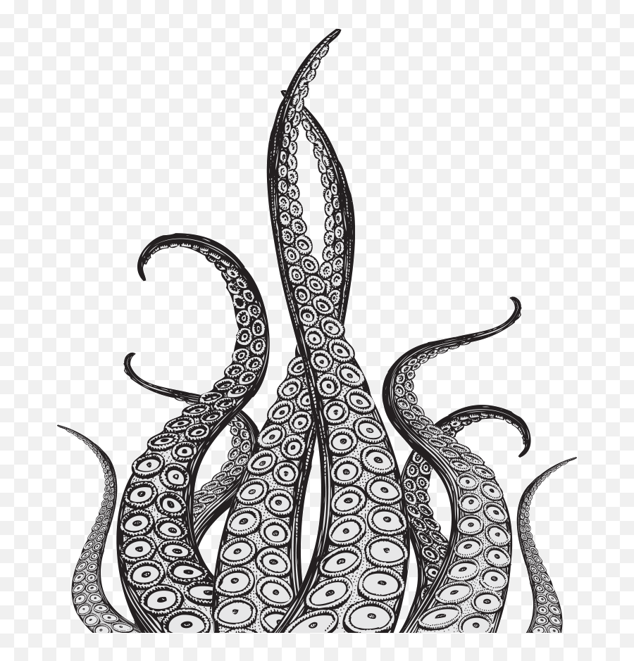 Octopus Tentacles Png Pic - Tentacle Drawing,Tentacles Transparent Background