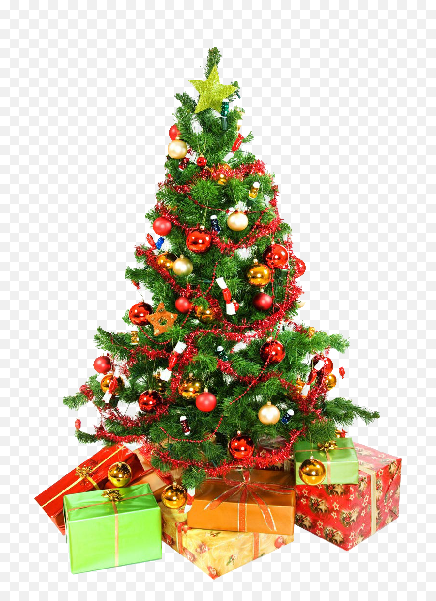 Download Christmas Tree Free Png Transparent Image And Clipart - Christmas Tree High Resolution,Christmas Transparent