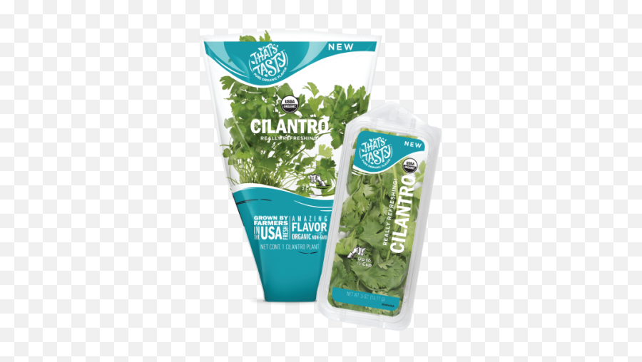 Cilantro - Moss Png,Cilantro Png