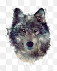 Wolves Background Transparent Png - Wolf Art,Wolf Transparent Png