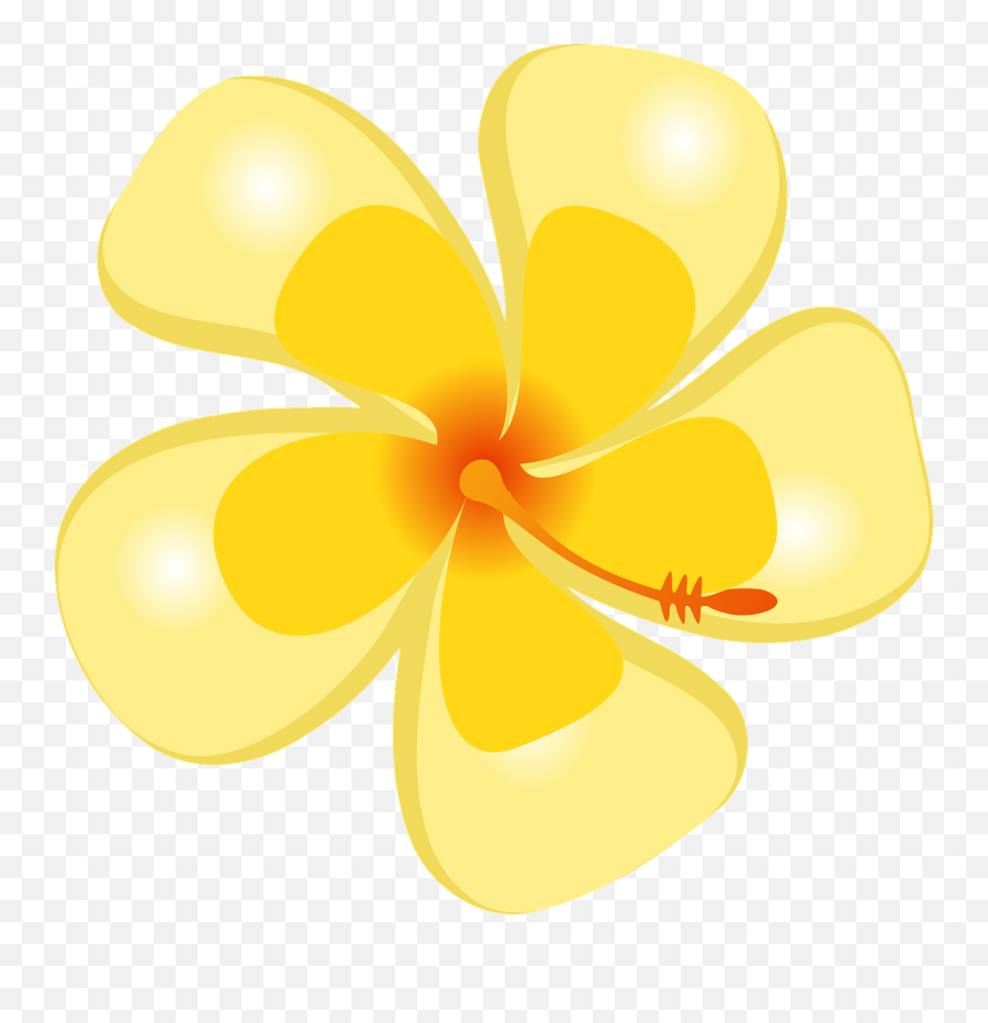 Hibiscus Tropical Flower - Tropical Flower Yellow Png,Luau Png
