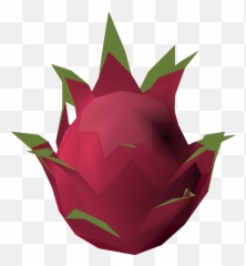 Dragonfruit - Illustration Png,Dragonfruit Png
