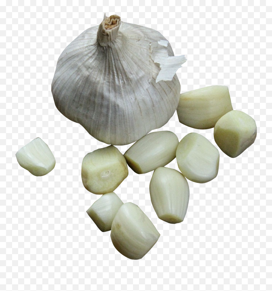 White Grey Garlic Polyvore Moodboard - Garlic Png,Garlic Transparent Background