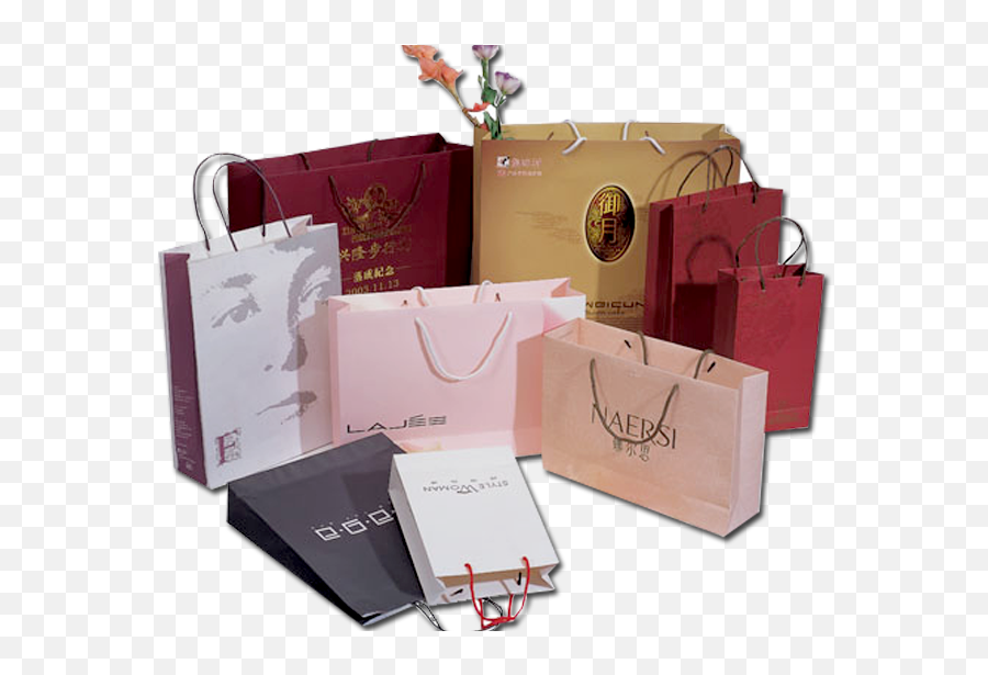 Grocery Bag Png - Luxury Paper Bag Png,Grocery Bag Png